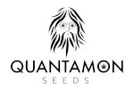 Quantamon Seeds's image