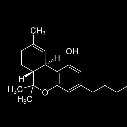An image of Riley Kush