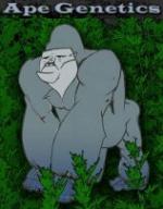 An image of Stinky D