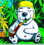 BiPolarBear420's image