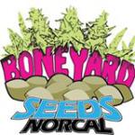 Boneyard Seeds Norcal's image