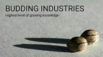 Budding Industries's image