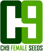 An image of Humboldt x Ersb