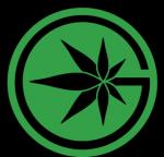 An image of OG Kush