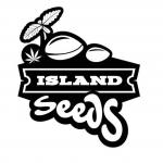 An image of Blackkush