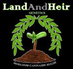 Land and Heir Genetics's image