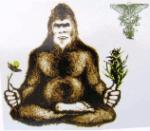 An image of Black Yeti