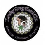 An image of Chemdog 91 Bx