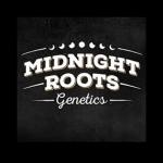 Midnight Roots Genetics's image