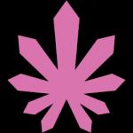 Pink House's image