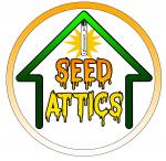 Seed Attics's image