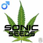 An image of Sub-Sonic