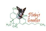 Logo de Stinky's Genetics