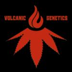 Volcanic Genetics's image