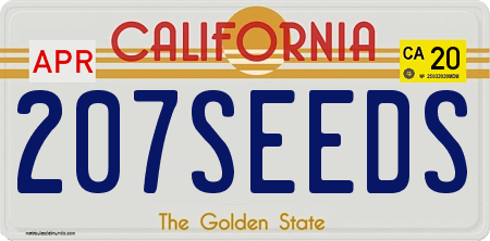 Hawaiian Roses archive 0