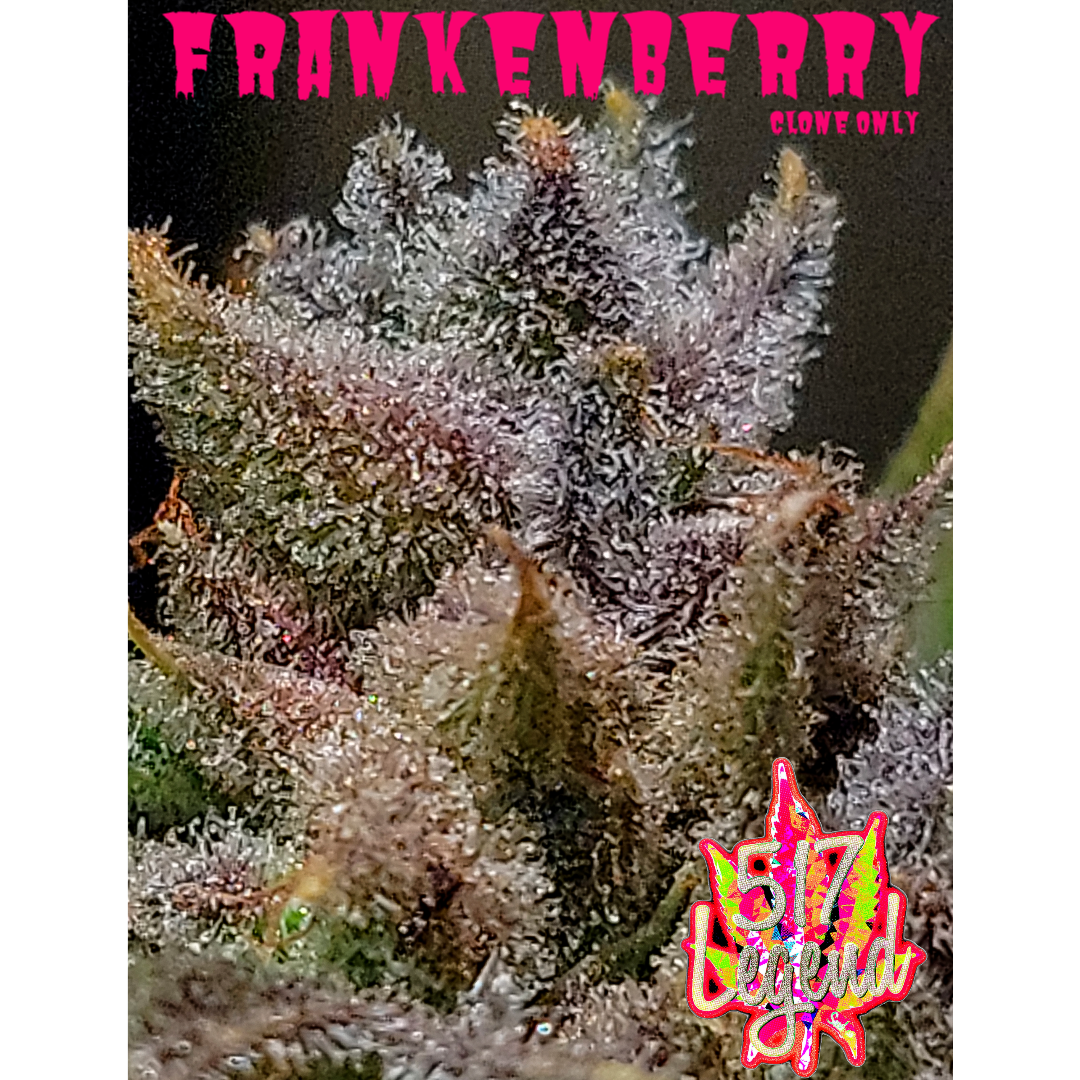 FrankenBerry flowering cannabis, as labeled by the cited photo source
