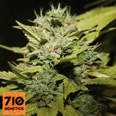 Lemon & Lime flowering cannabis, as labeled by the cited image source