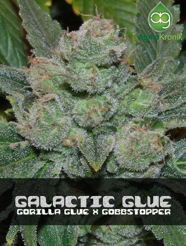 Galactic Glue