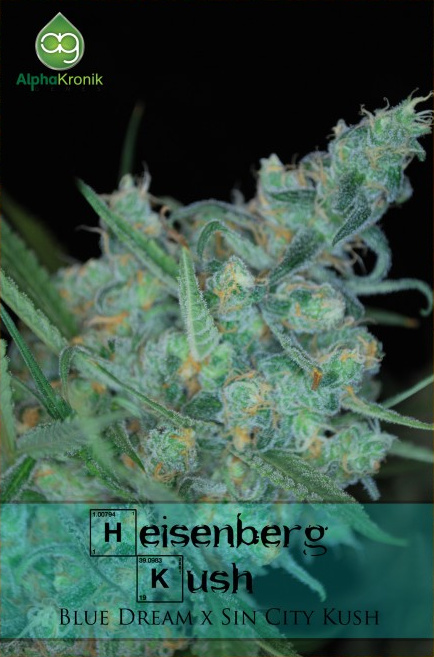 Heisenberg Kush
