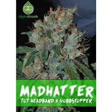 Madhatter