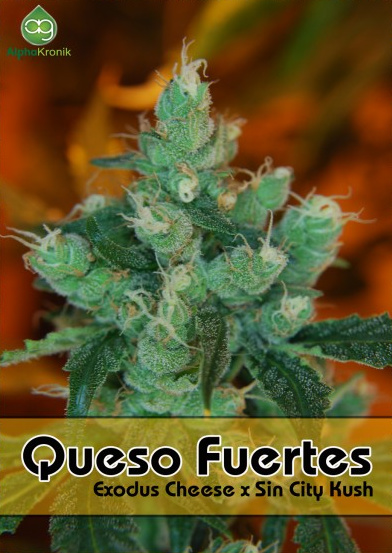 Queso Fuertes