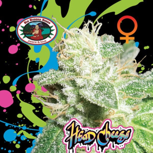 Head Cheese archive 0