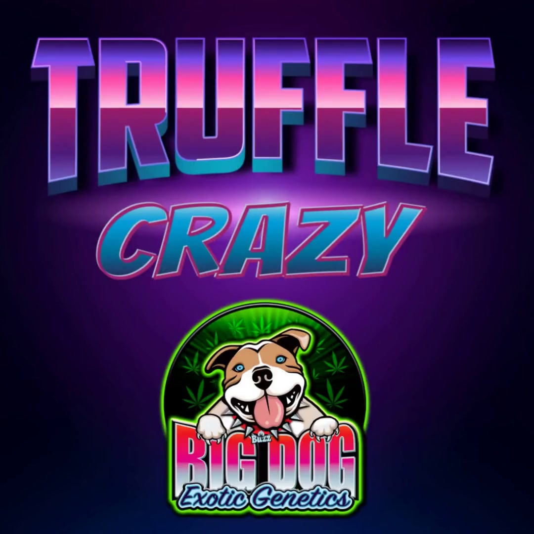 San Fernando Truffles archive 0