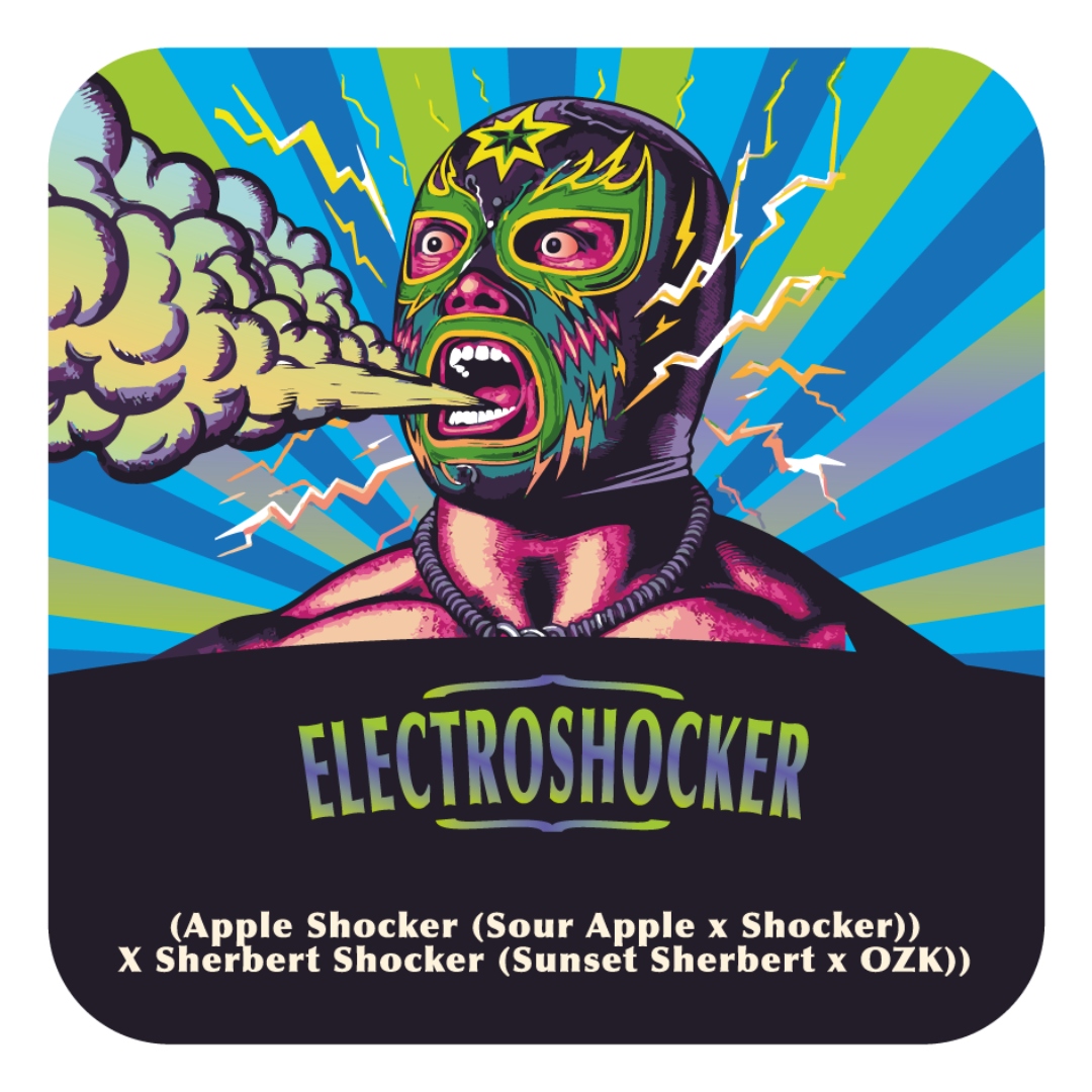 Electroshocker