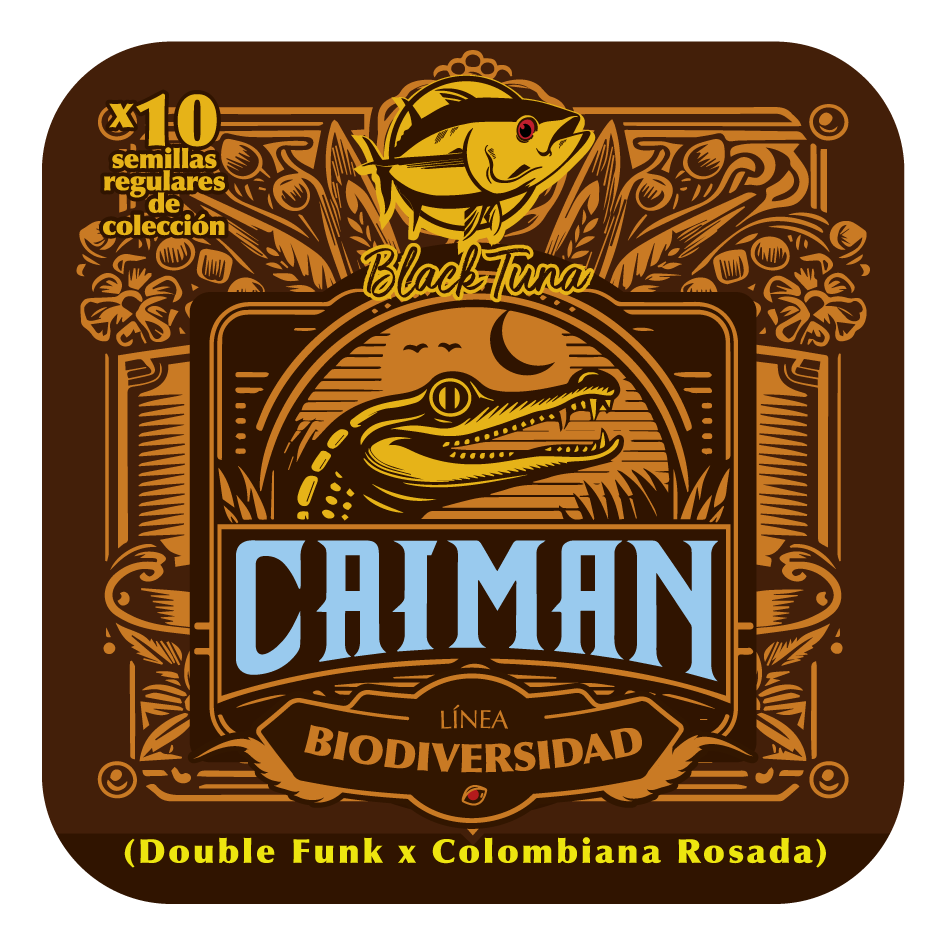 Caiman