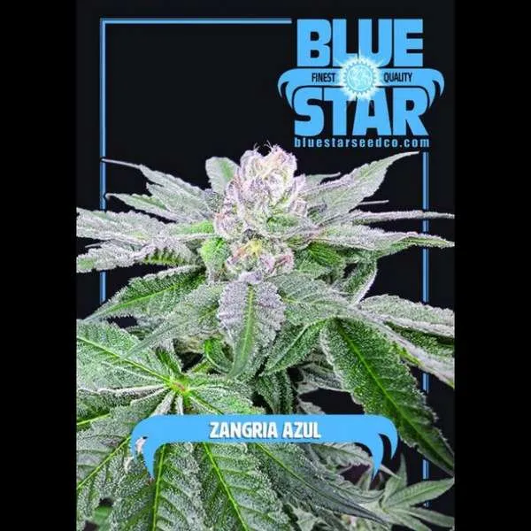 Zangria Azul