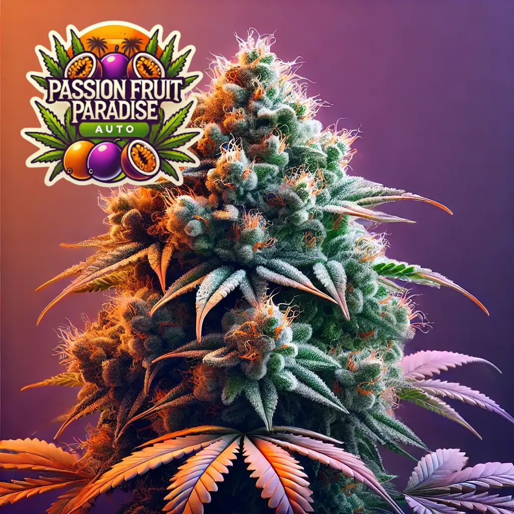 Passion Fruit Paradise Auto