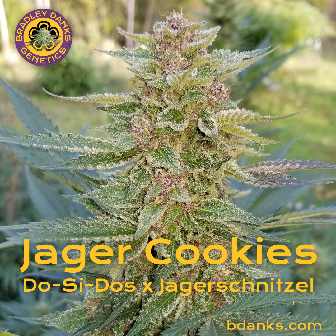Jager Cookies