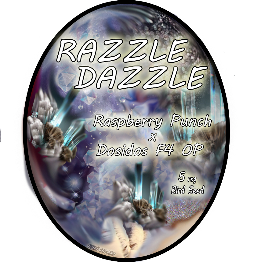 Razzle Dazzle