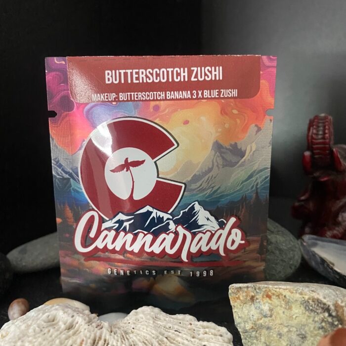 Butterscotch Zushi (Cannarado Genetics) :: Cannabis Strain Info