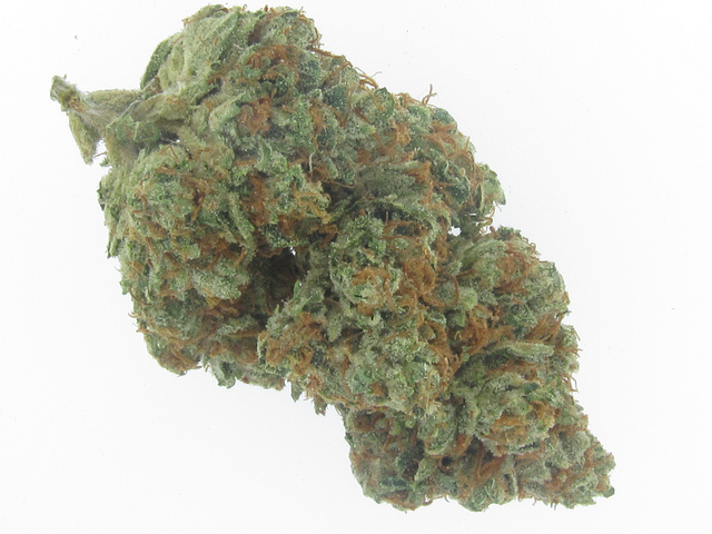 Triangle Kush (Clone Only Strains) :: Cannabis Strain Info :: SeedFinder.eu