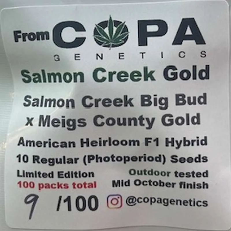 Salmon Creek Gold