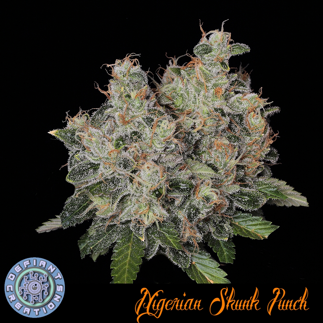 Nigerian Skunk Punch