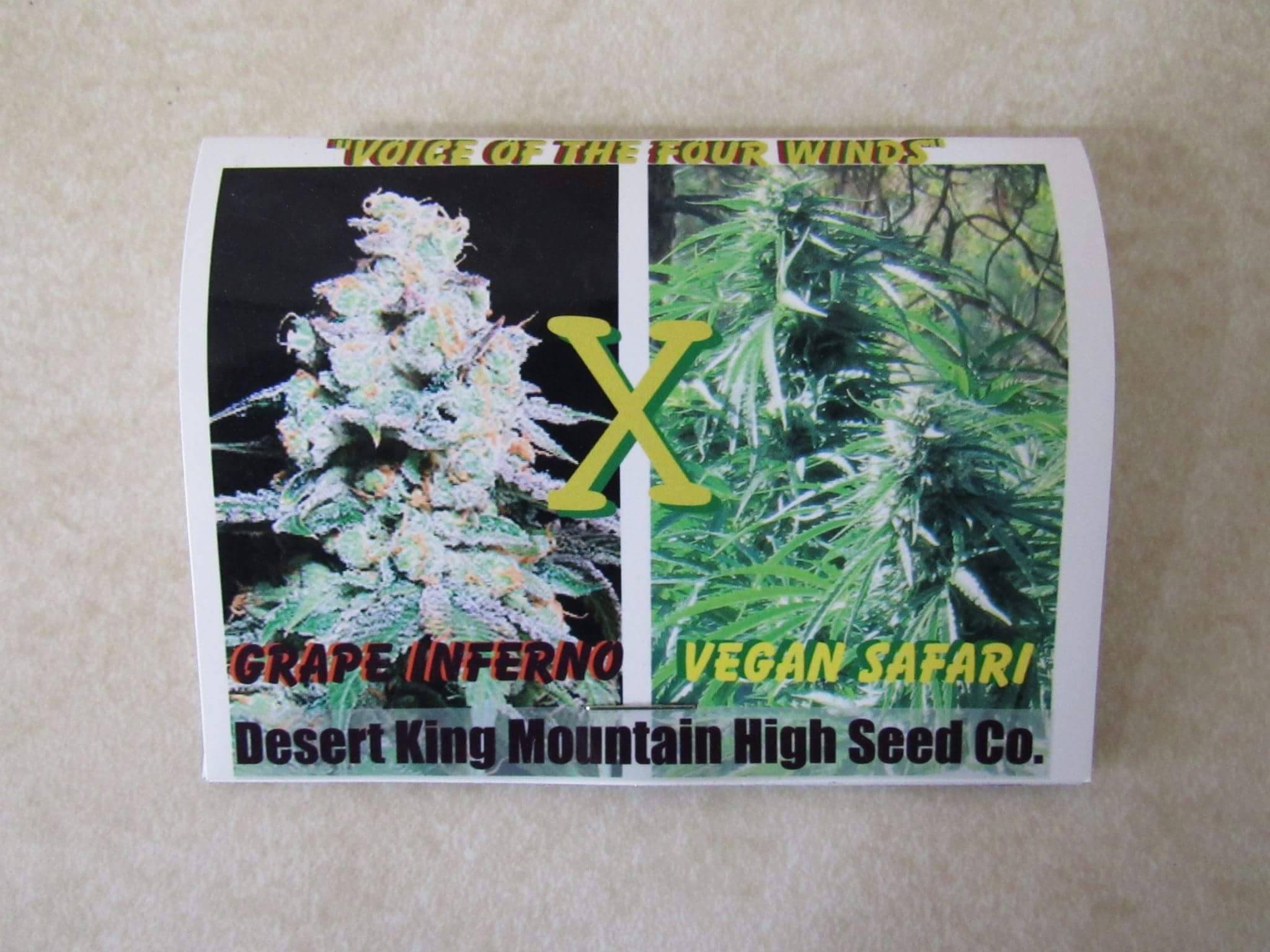 Voice of The Four Winds