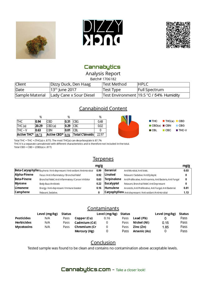 Lady Cane Sour Diesel