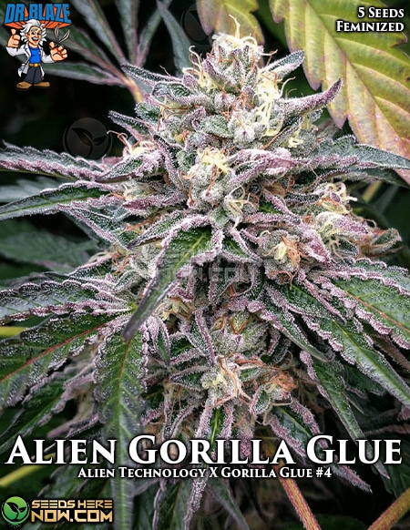 Alien Gorilla Glue archive 0