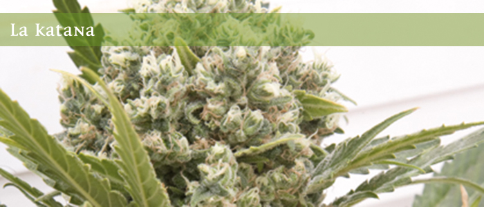 La Katana
