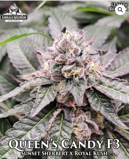 Queens Candy