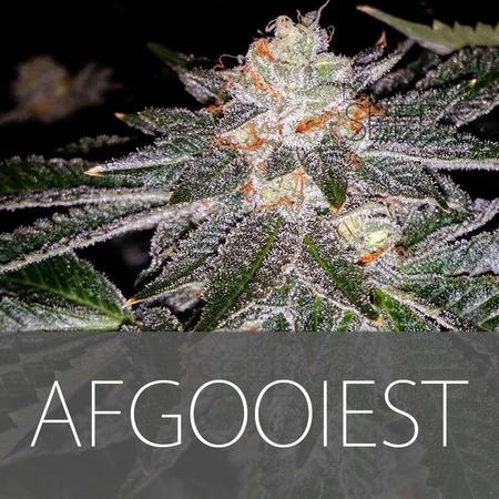 Afgooiest