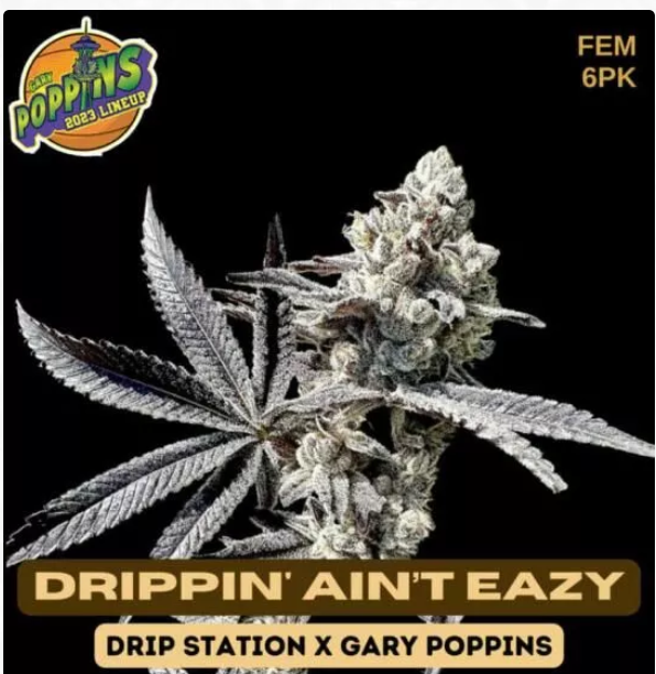 Drippin Ain't Eazy flowering cannabis, as labeled by the cited photo source