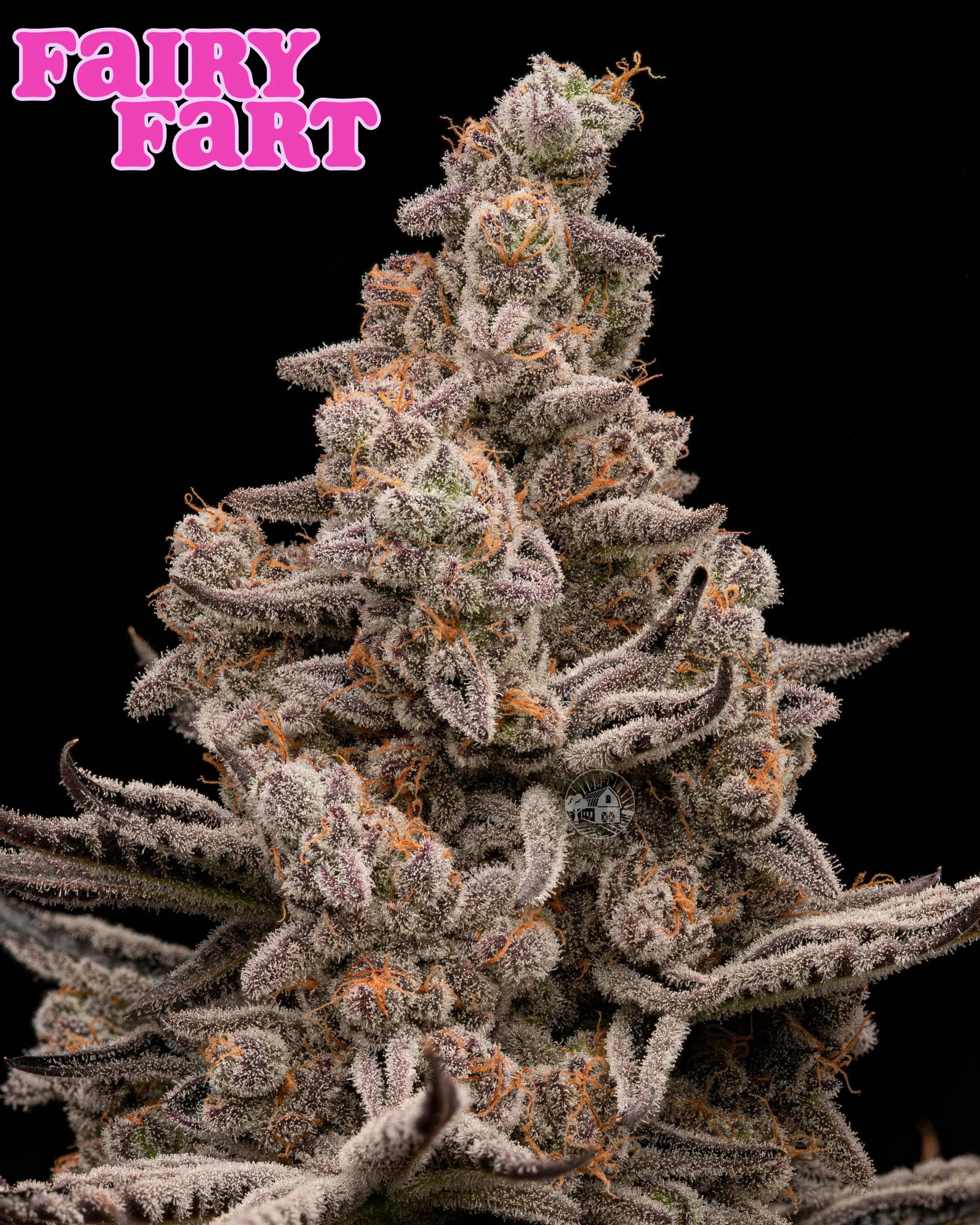 Fairy Fart archive 0