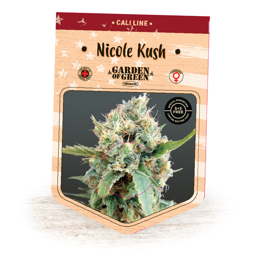 Niclole Kush