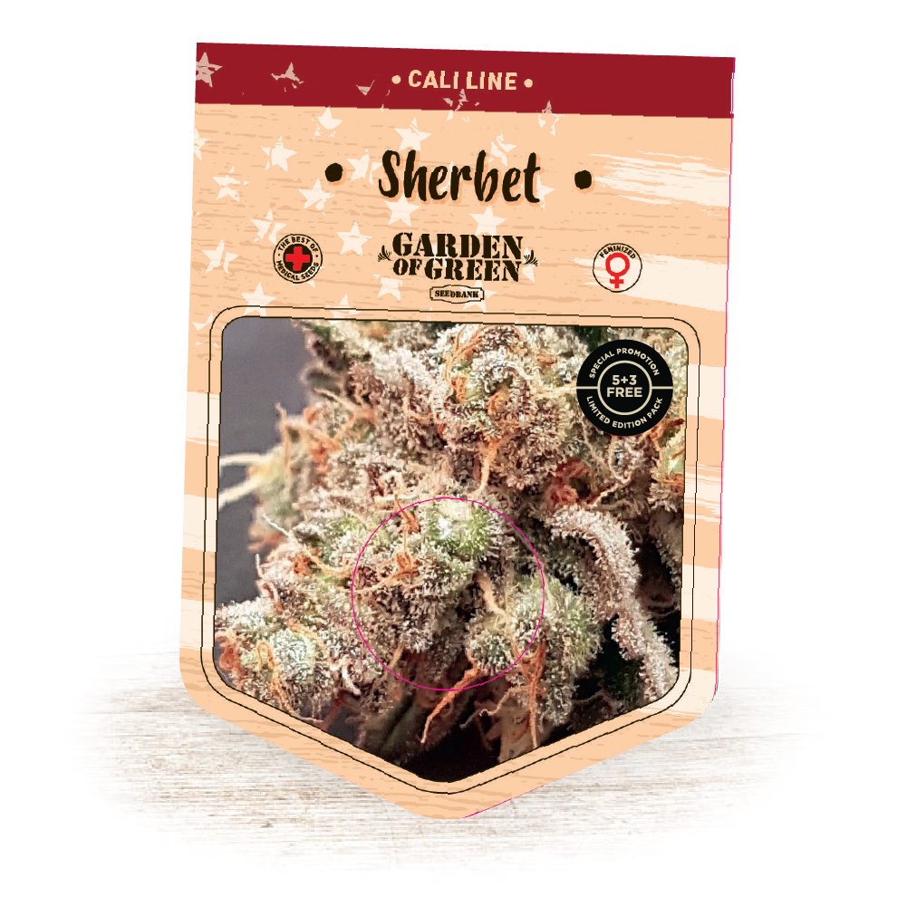 Sherbet: strain page photo, credit seedfinder.eu, copyright status shown with credit copyright unverified