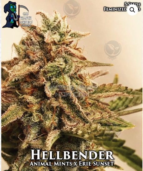 Hellbender