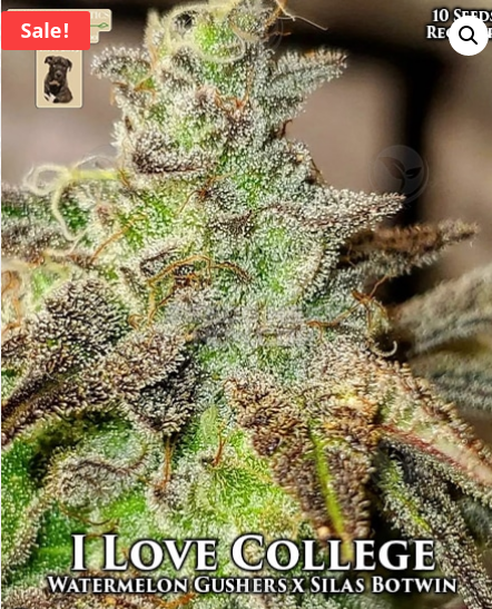 I Love College archive 0