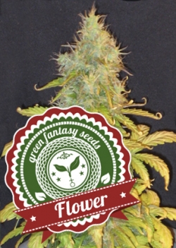 Auto Flower